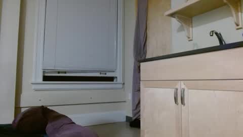 TreySexxxy online show from February 15, 2026, 7:51 am