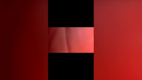 sexyfoxboy55 online show from May 16, 2026, 12:07 am
