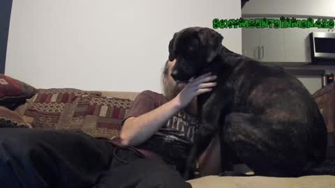 Sexymountainman420 online show from December 24, 2024, 7:06 am