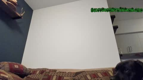 Sexymountainman420 online show from December 26, 2024, 12:36 am