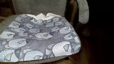 shamain1922 online show from January 28, 2025, 9:19 pm