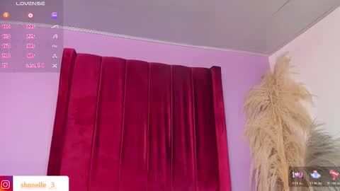 shanelle7 online show from February 2, 2026, 1:54 pm