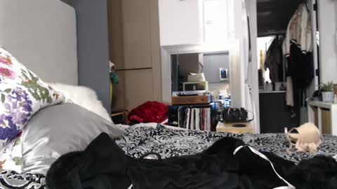 Snapshot of shannon07 chatting on January 13, 2025, 2:50 am Shannon07 online show from January 13, 2025, 2:50 am