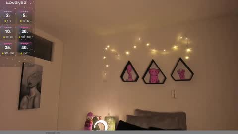   online show from December 28, 2024, 8:26 am