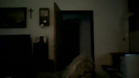 Snapshot of shaomy711 chatting on January 7, 2025, 2:30 pm excelo21 online show from January 7, 2025, 2:30 pm