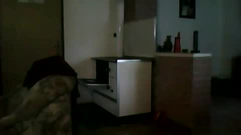 Snapshot of shaomy711 chatting on January 12, 2025, 7:32 am excelo21 online show from January 12, 2025, 7:32 am