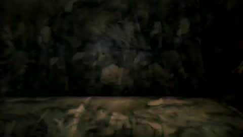 Snapshot of shaomy711 chatting on January 12, 2025, 1:37 pm excelo21 online show from January 12, 2025, 1:37 pm