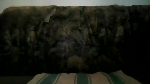 Snapshot of shaomy711 chatting on January 19, 2025, 2:59 pm excelo21 online show from January 19, 2025, 2:59 pm