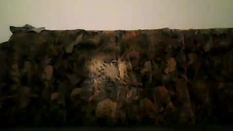 Snapshot of shaomy711 chatting on February 13, 2025, 7:21 pm excelo21 online show from February 13, 2025, 7:21 pm