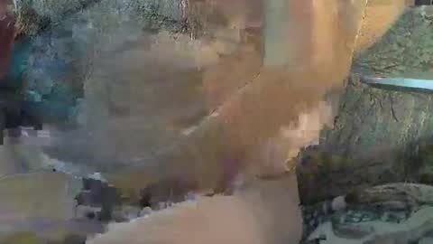 Snapshot of sharkey644 chatting on November 11, 2025, 4:40 pm Sharkey644 online show from November 11, 2025, 4:40 pm