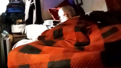 Snapshot of sharoc666 chatting on December 4, 2024, 12:03 pm Shamroc online show from December 4, 2024, 12:03 pm