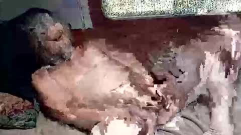 Shamroc online show from March 4, 2026, 2:45 pm