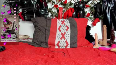 Snapshot of shengyi_blue chatting on December 17, 2024, 1:38 pm anyela7773 online show from December 17, 2024, 1:38 pm