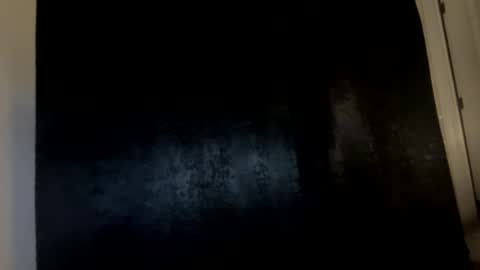 Snapshot of shurthingxx chatting on March 3, 2025, 10:06 am shurthingxx online show from March 3, 2025, 10:06 am