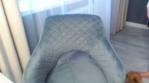 shy_26 online show from January 11, 2025, 9:15 am