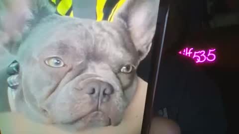 Snapshot of shymilf535 chatting on February 27, 2026, 2:55 am RBXs Princess online show from February 27, 2026, 2:55 am