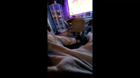 shynessy online show from February 10, 2025, 12:19 am