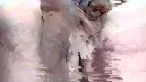 Snapshot of sigmaelixer chatting on September 29, 2025, 9:08 pm sigmaelixer online show from September 29, 2025, 9:08 pm