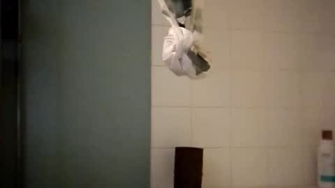 Snapshot of sigmaelixer chatting on October 18, 2025, 8:37 am sigmaelixer online show from October 18, 2025, 8:37 am