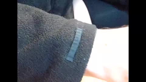 devotsubmissive dogvierbeiner online show from September 25, 2025, 7:34 am