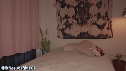 Little Sunshine online show from December 9, 2024, 9:16 pm