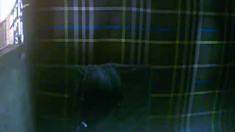 Snapshot of simply__me chatting on February 16, 2026, 12:07 am simply__me online show from February 16, 2026, 12:07 am