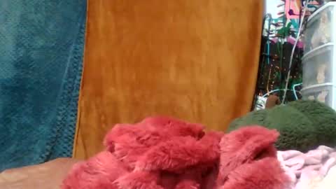 Siofra online show from November 16, 2025, 4:51 am