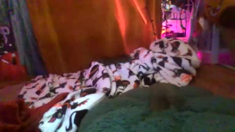 Siofra online show from January 17, 2026, 11:15 am