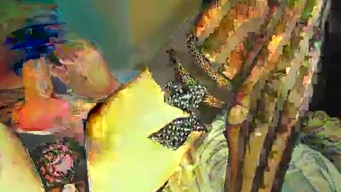 Sir Loin online show from February 20, 2025, 5:07 pm