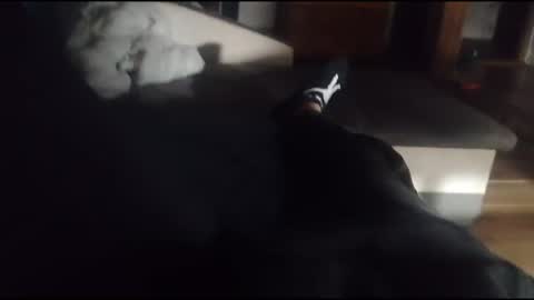 Snapshot of siren666777 chatting on October 16, 2025, 5:36 pm siren666777 online show from October 16, 2025, 5:36 pm