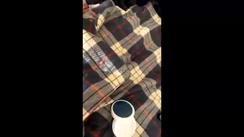 sirgalaxy online show from November 2, 2025, 1:46 pm