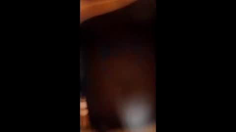 sissybottomcock online show from December 4, 2025, 6:55 am