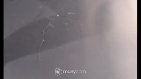 Snapshot of sissyslut6111 chatting on December 26, 2024, 6:54 pm Sissyslut6111 online show from December 26, 2024, 6:54 pm