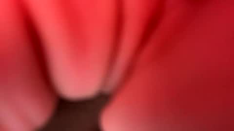 Snapshot of siw294959 chatting on June 4, 2026, 6:41 am siw294959 online show from June 4, 2026, 6:41 am