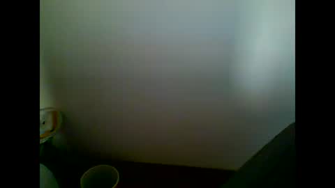 Snapshot of skater19xxx chatting on March 7, 2025, 4:11 pm miguel online show from March 7, 2025, 4:11 pm