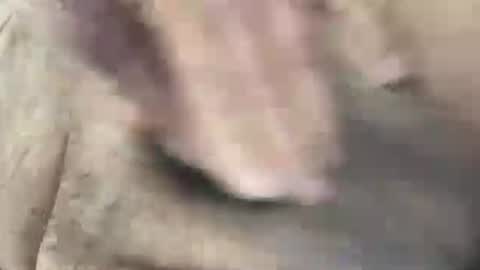 skima48 online show from February 14, 2026, 8:00 am