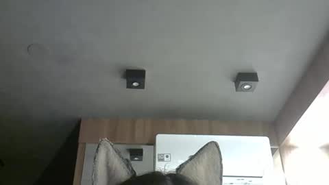 Snapshot of skinnykittencam chatting on October 24, 2025, 2:08 am skinnykittencam online show from October 24, 2025, 2:08 am