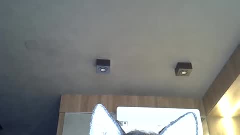 Snapshot of skinnykittencam chatting on November 2, 2025, 12:07 pm skinnykittencam online show from November 2, 2025, 12:07 pm