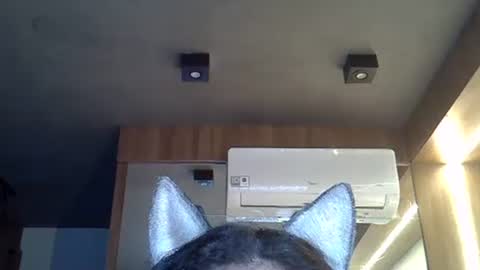 Snapshot of skinnykittencam chatting on November 10, 2025, 8:46 am skinnykittencam online show from November 10, 2025, 8:46 am