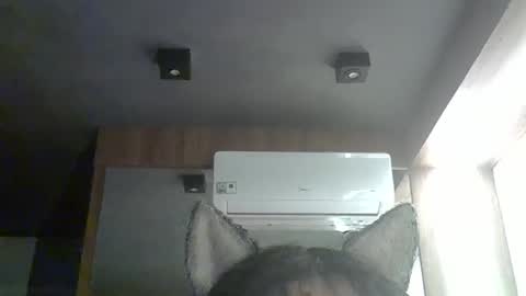 Snapshot of skinnykittencam chatting on January 11, 2026, 12:26 am skinnykittencam online show from January 11, 2026, 12:26 am