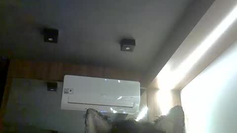 Snapshot of skinnykittencam chatting on January 11, 2026, 12:32 pm skinnykittencam online show from January 11, 2026, 12:32 pm
