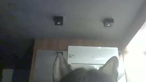 Snapshot of skinnykittencam chatting on February 7, 2026, 5:00 am skinnykittencam online show from February 7, 2026, 5:00 am