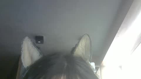 Snapshot of skinnykittencam chatting on February 26, 2026, 10:25 am skinnykittencam online show from February 26, 2026, 10:25 am