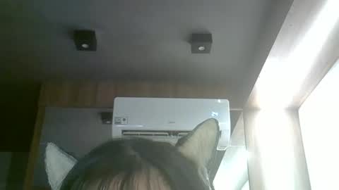 Snapshot of skinnykittencam chatting on April 11, 2026, 3:38 pm skinnykittencam online show from April 11, 2026, 3:38 pm