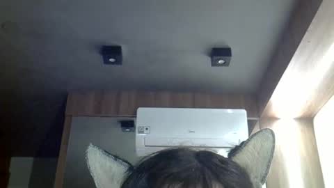 Snapshot of skinnykittencam chatting on May 3, 2026, 3:07 pm skinnykittencam online show from May 3, 2026, 3:07 pm