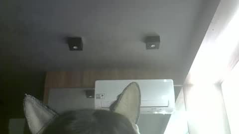 Snapshot of skinnykittencam chatting on May 10, 2026, 6:51 am skinnykittencam online show from May 10, 2026, 6:51 am