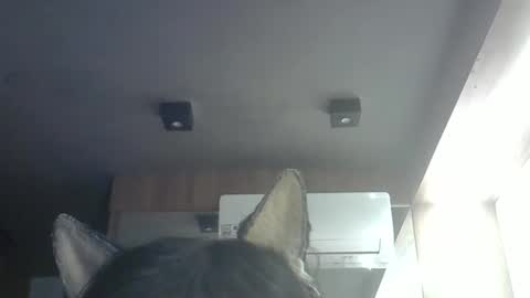 Snapshot of skinnykittencam chatting on May 14, 2026, 9:05 am skinnykittencam online show from May 14, 2026, 9:05 am