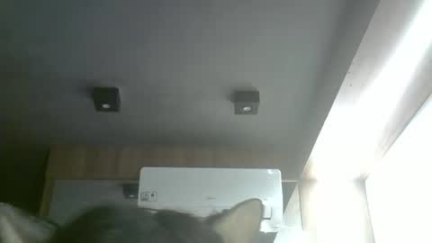 Snapshot of skinnykittencam chatting on May 17, 2026, 11:17 am skinnykittencam online show from May 17, 2026, 11:17 am