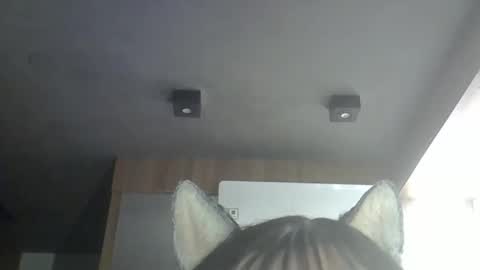 Snapshot of skinnykittencam chatting on May 18, 2026, 1:02 am skinnykittencam online show from May 18, 2026, 1:02 am