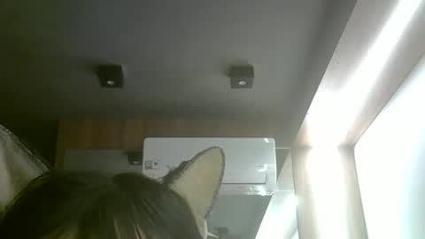Snapshot of skinnykittencam chatting on May 18, 2026, 8:47 pm skinnykittencam online show from May 18, 2026, 8:47 pm